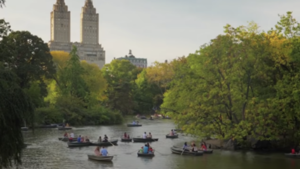 New York Central Park view