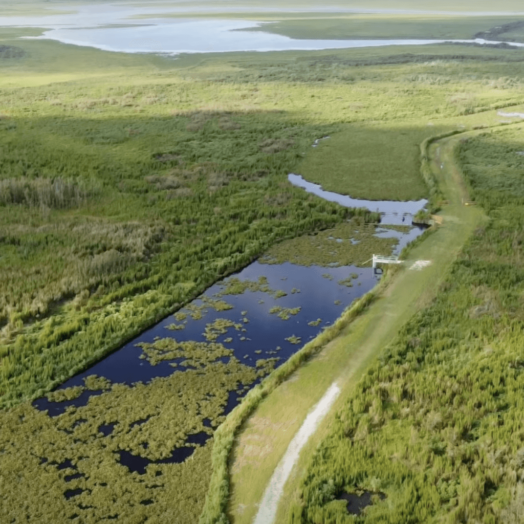 Lechua Trail