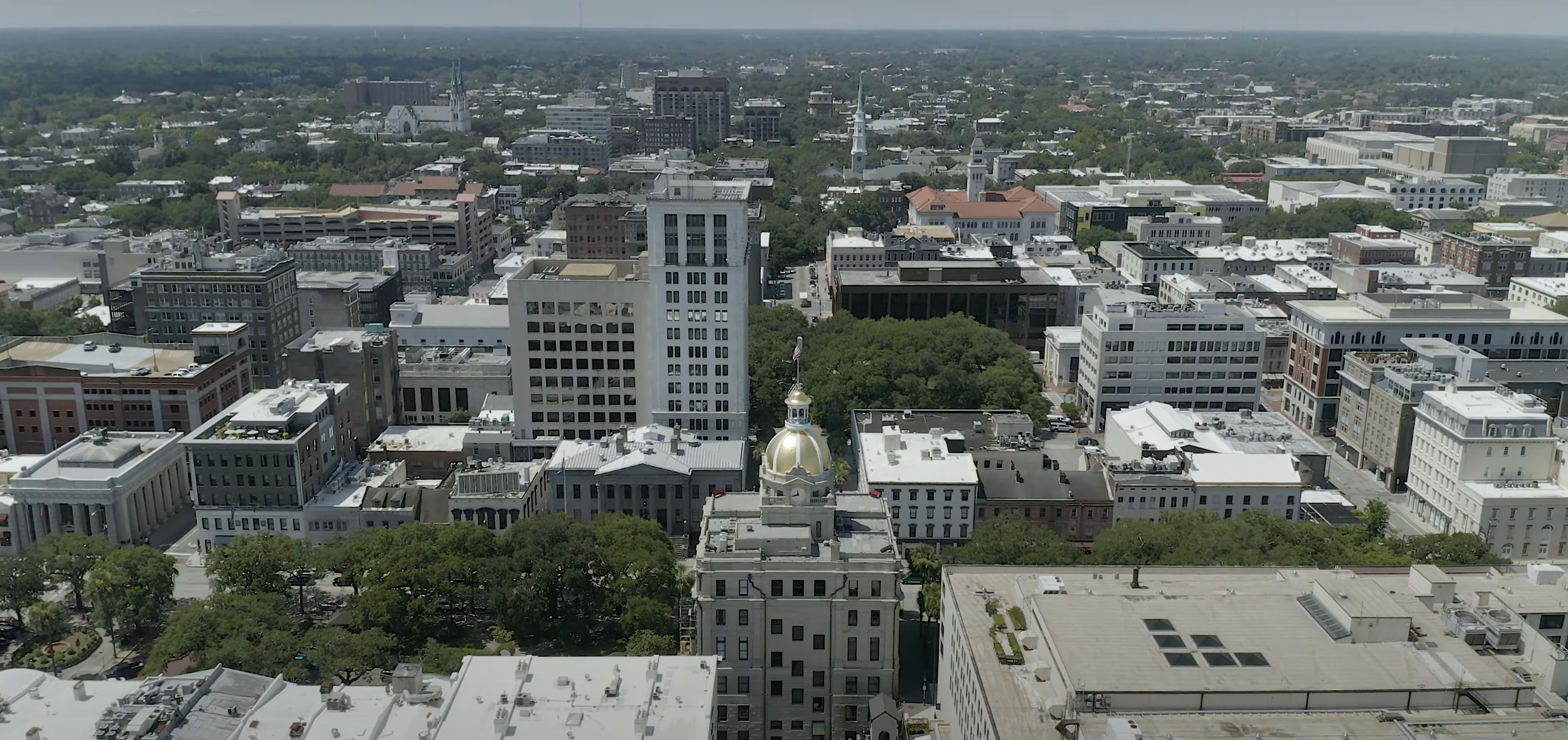 Savannah aerial view