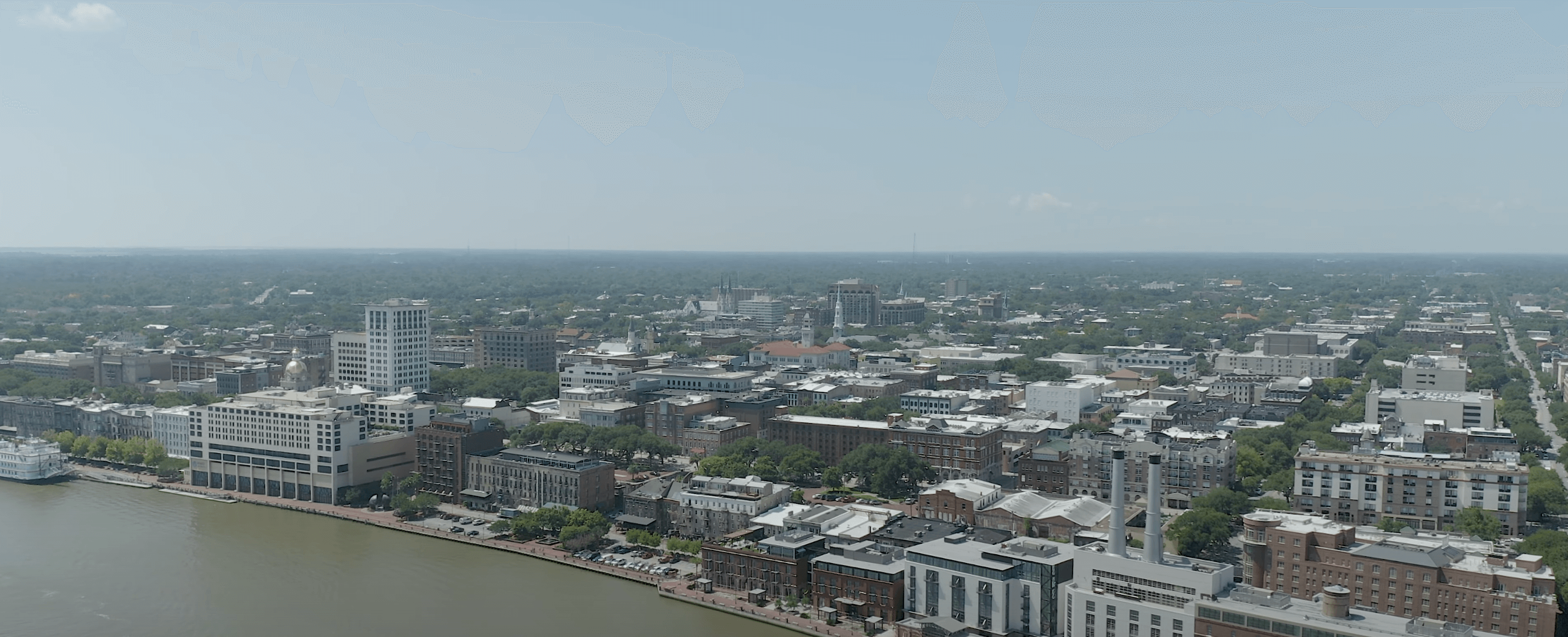 Savannah aerial view