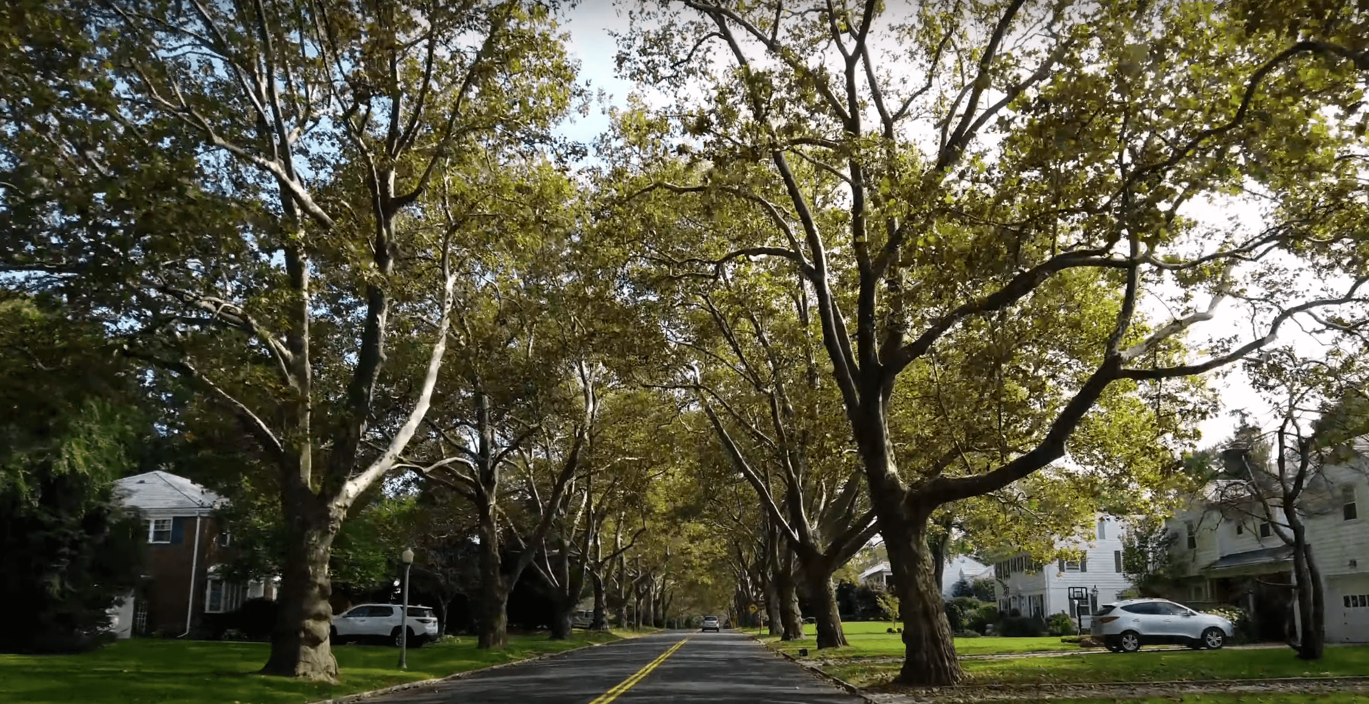 driving through Manhasset