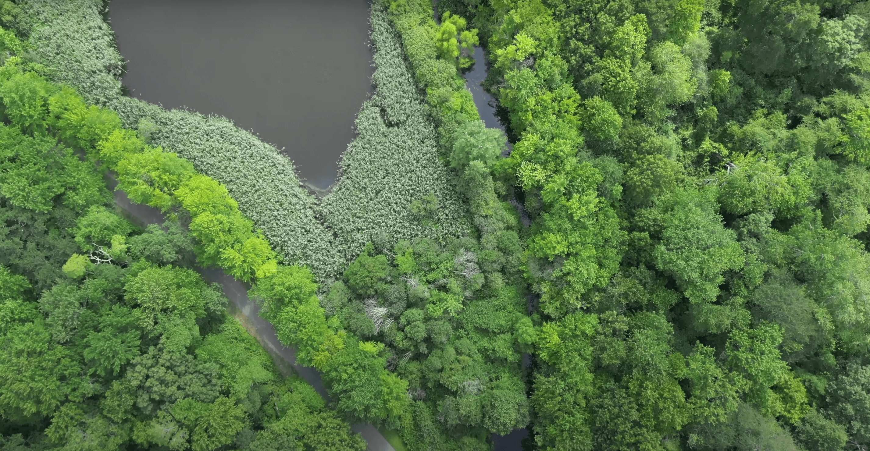 Massapequa Preserve, Long Island