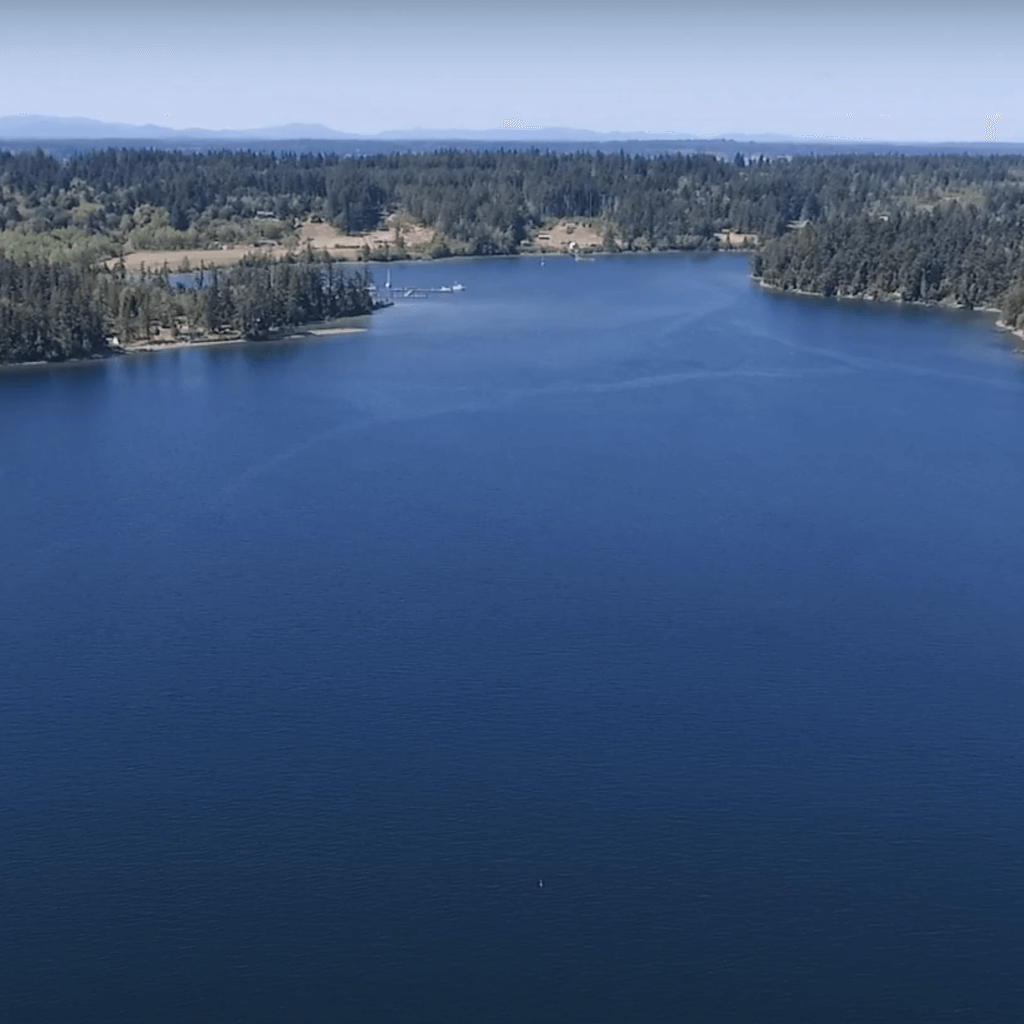 10 Reasons Why Land is So Cheap on Anderson Island HouseReal